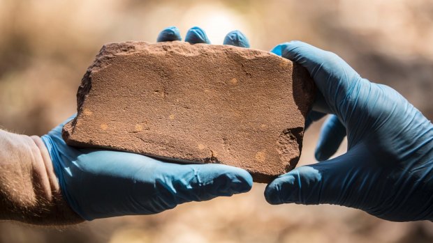 The discovery of this axe sharpening stone inside the Kakadu National Park has rewritten the history of Australia. 