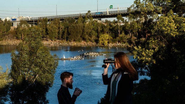 Wild Melbourne is a group of young scientists wanting to reconnect Melburnians with Fauna and Flora in their city.