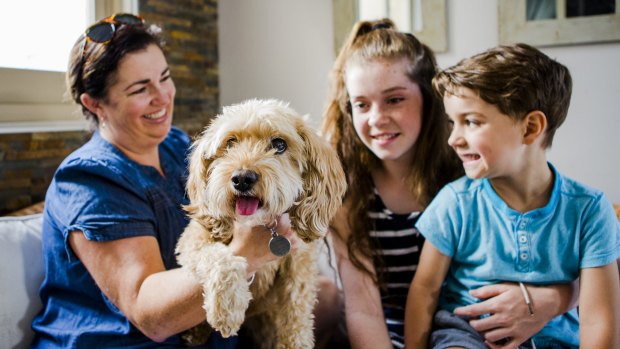 Roxy the cavoodle, whose habit of eating her family's underwear led to trouble last year, with Rachel Aitchison and her children, Ellen 14, and Isaac 4.
