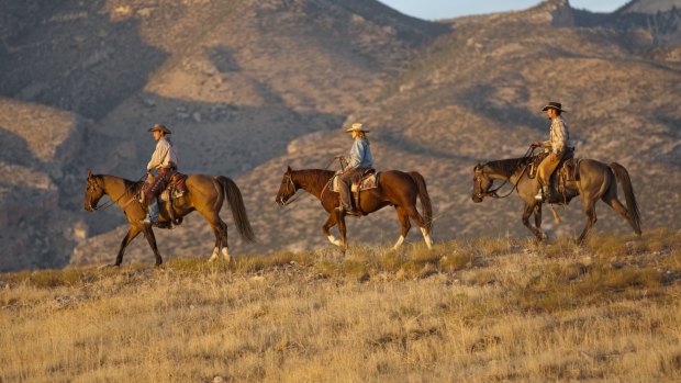 对你想从假期中得到什么有一个清晰的愿景，以避免失望。你喜欢回归基本的露营还是五星级的奢华?轻松地浏览一下美国国家公园，还是认真地去野外远足?事实是，一次不愉快的旅行更可能是由于糟糕的选择，而不是旅游公司的失误。半岛sportsvip11