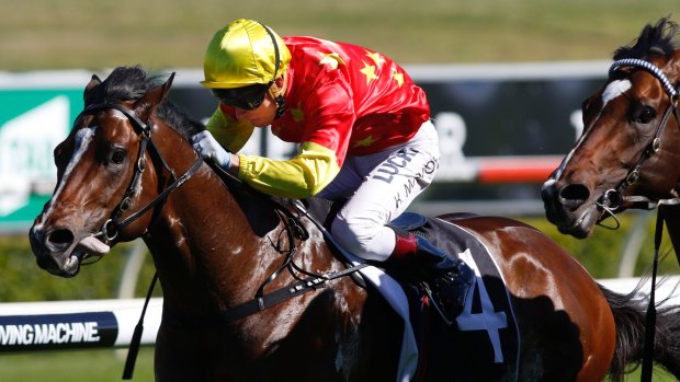 Russian Revolution starts his spring campaign in Saturday's McEwen Stakes at Moonee Valley. 