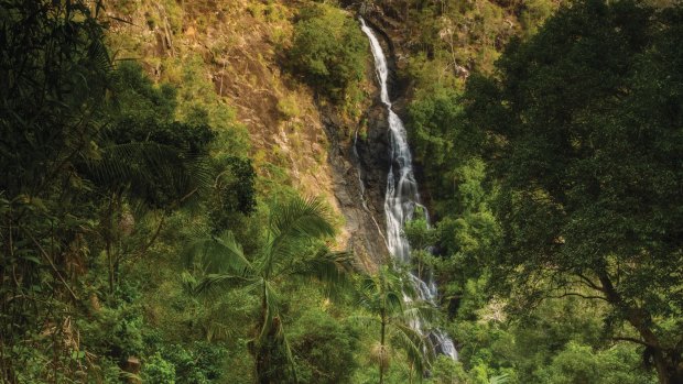 Kondalilla Falls.