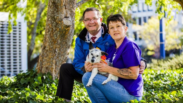 Sheila and Mark Lynch and their dog Freddy. Their entry, Team Jim Jam, is again the lead fundraiser for the Million Paws Walk.