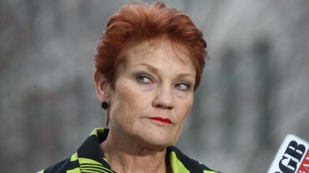 One Nation senator Pauline Hanson.