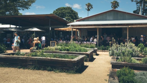 The Farm, Byron Bay.