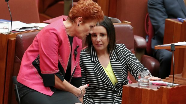 Pauline Hanson and Jacqui Lambie have called for the package to be split.