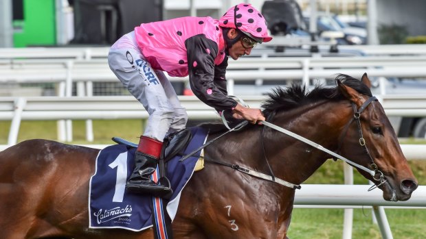 Damien Oliver on Flying Artie in the Blue Sapphire Stakes at Caulfield on Saturday.
