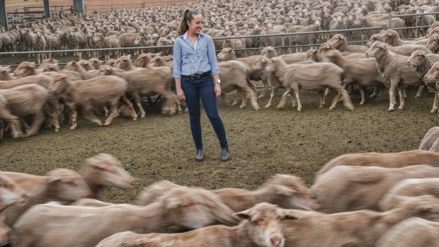 Katherine Bain wants to come home one day to run the family's merino sheep farm in Stockyard Hill near Ballarat. 
