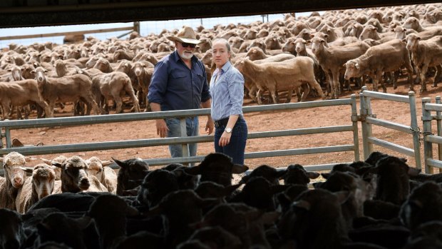 David Bain says his daughter Katherine has always been interested in agriculture. 