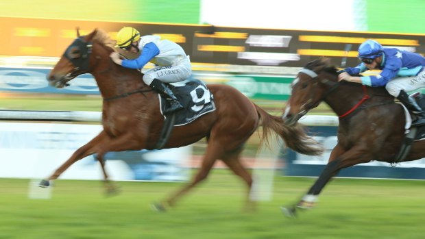 Turnaround: Lester Grace on board Magnajoy to win race 9 at Rosehill.