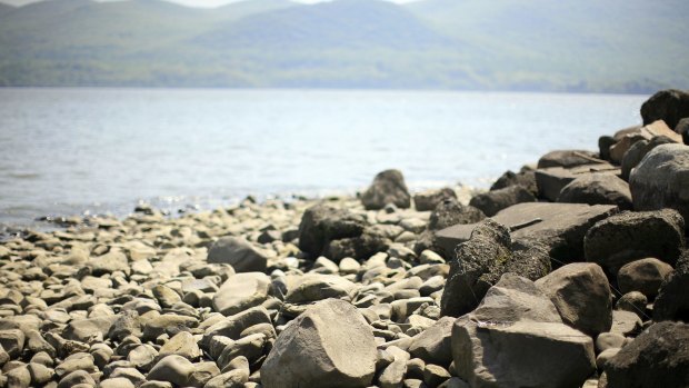 The shoreline at Plum Point Park.