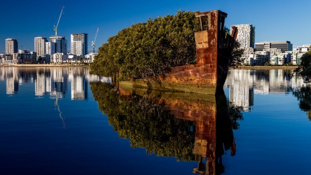 SS Ayrfield was sent to Homebush Bay's wrecking yards in 1972, but it never got wrecked after the price of scrap metal plumetted.