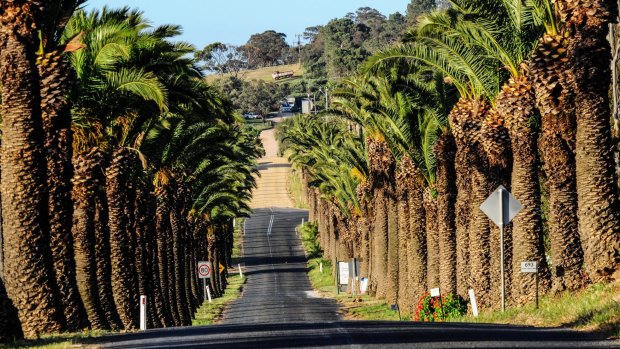 Barossa Valley travel guide and things to do: Nine highlights