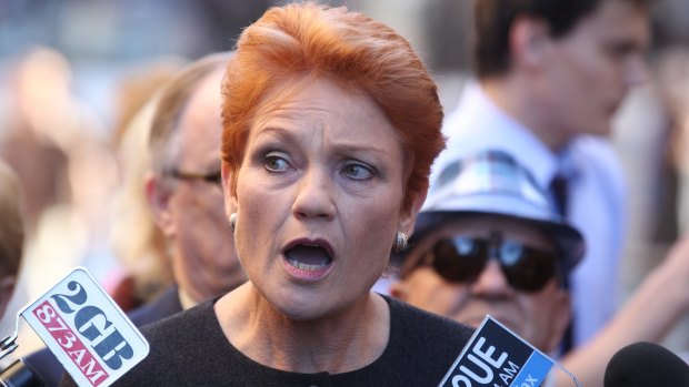 Making a comeback: Pauline Hanson. 