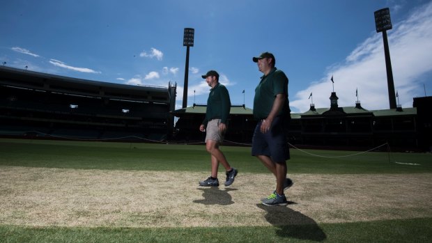 The SCG duo have worked hard on the Test pitch.
