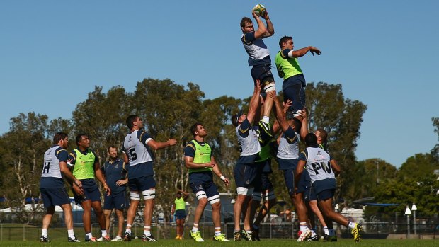 High flyer: Ben McCalman  takes a lineout ball during a training session on the Sunshine Coast. 