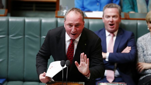 Deputy Prime Minister Barnaby Joyce during question time on Wednesday.