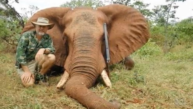 Robert Borsak from the NSW Shooters and Fishers Party with a dead elephant.