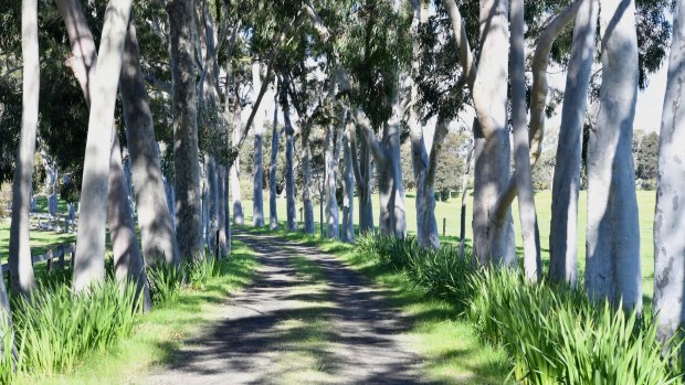 The driveway to Cruden farm in Langwarrin.