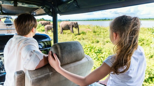 Watching elephants at Udawalawe National Park in Sri Lanka.