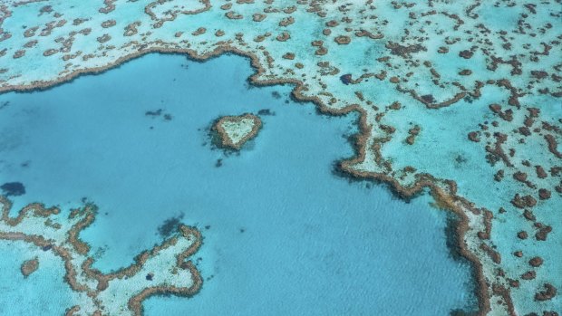 National treasure: the Great Barrier Reef.