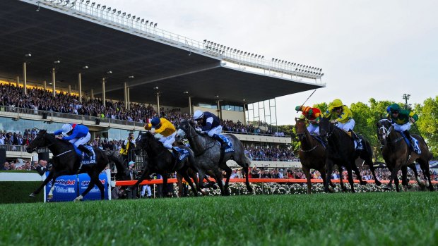 Whips are out: Adelaide, far left, wins the Cox Plate.
