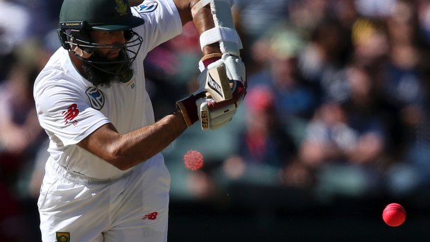 Stalwart: Amla has scored 7,665 runs in Test cricket at an average just below 50.