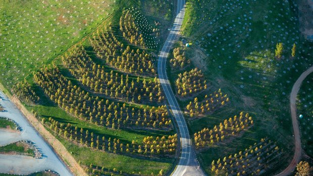 The National Arboretum.