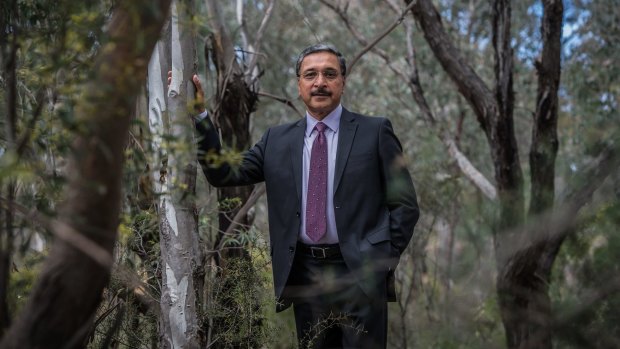 Professor Deep Saini is returning to Australia, having completed his doctorate in plant physiology at the University of Adelaide on an Australian government scholarship. 