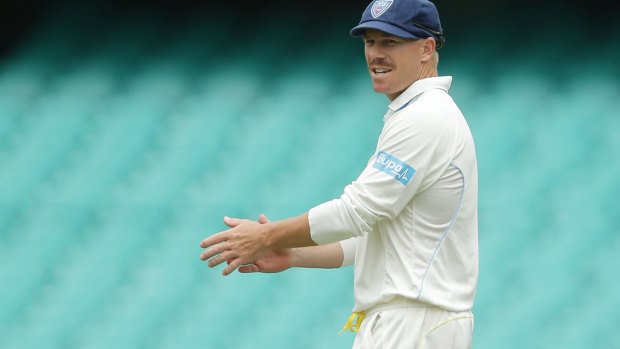Mate: David Warner, pictured at the Sydney Cricket Ground on Tuesday before the incident occurred.