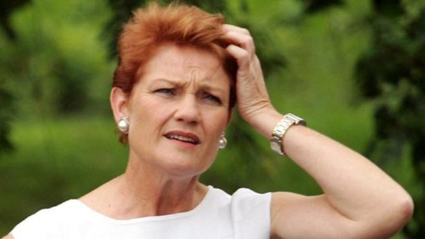 Pauline Hanson has lost her candidate for Currumbin, one day after he was announced.
