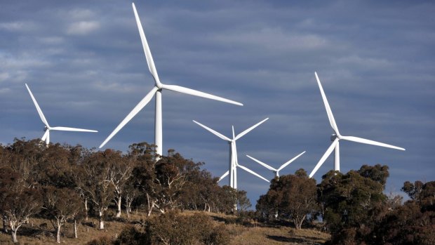 Wind turbines near Bungendore: Renewable energy contributed 21 per cent of Canberra's electricity in the past year.