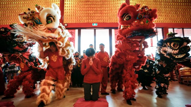 Worshipper Tng Siew Moi is not distracted from prayer during the noise and movement of a lion dance during 2016 Lunar New Year celebrations at Bright Moon Buddhist Temple in Springvale South. 