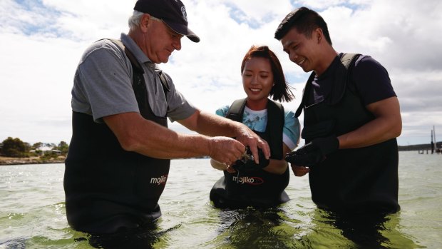 Visitors enjoy sampling fresh oysters.