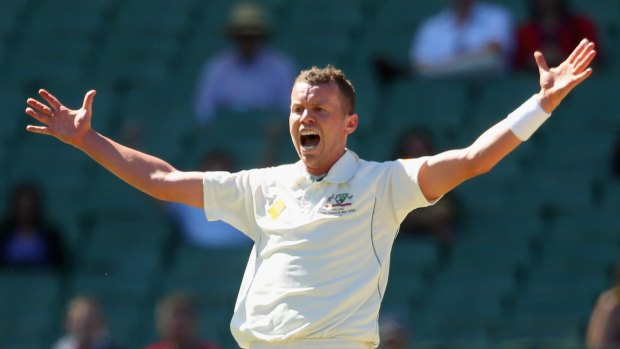 Back in town: Peter Siddle.