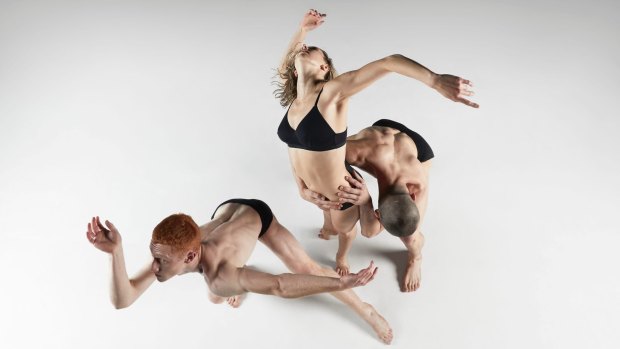 Ab [Intra] is a new Sydney Dance Company production. 
