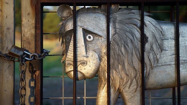 The dead-eyed lion fixates on the shiny padlock that secures the chain that strangles his liberty. 