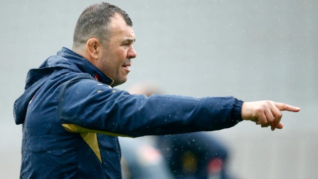 Michael Cheika wants the Wallabies to embrace the increased attention in England.
