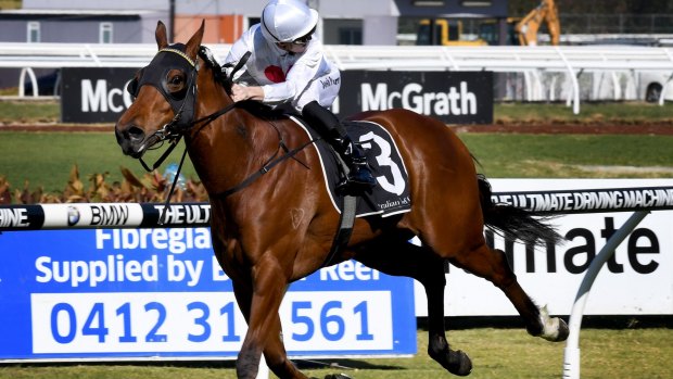 Where are you: Josh Parr looks for dangers as Deploy smashes track record in the Theo Marks Stakes at Rosehill. 