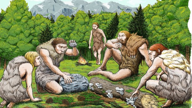 This drawing shows mostly vegetarian Spanish Neanderthals munching on mushrooms, pine nuts and moss. 