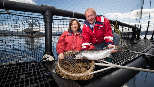 Investing in Huon Aquaculture has sent at least one player's stocks into the red.