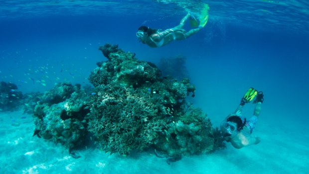 Snorkelling in the lagoon.