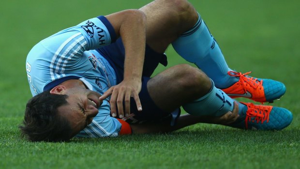 Another chance: Alex Brosque has not been ruled out of the match against Adelaide after rolling his ankle last week.