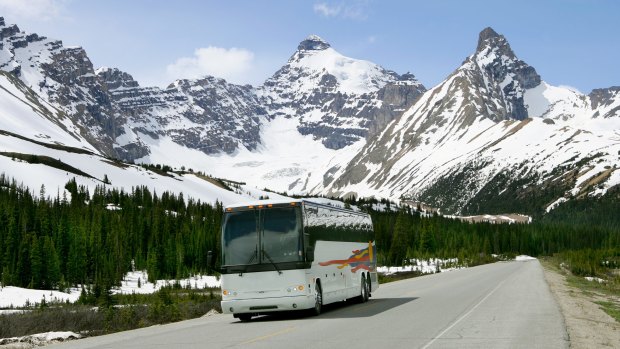 Sensational scenery: A coach tour through the Canadian mountains.