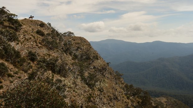 The Victorian National Parks Association says the government is attempting to commercialise parks by stealth. 