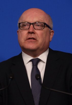 Attorney-General Senator George Brandis has intervened because the case involves a Constitutional issue.