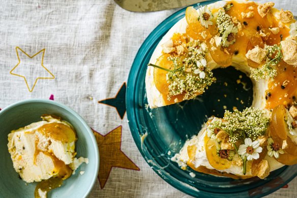 Frozen yoghurt meets passionfruit pavlova.