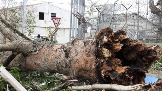 A large tree uprooted by Cyclone Pam near a prison in Port Vila