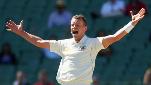 Siddle will play against South Africa.