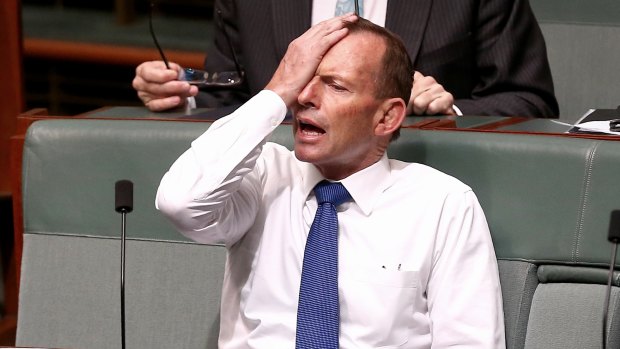 Tony Abbott sitting on the backbench in November.